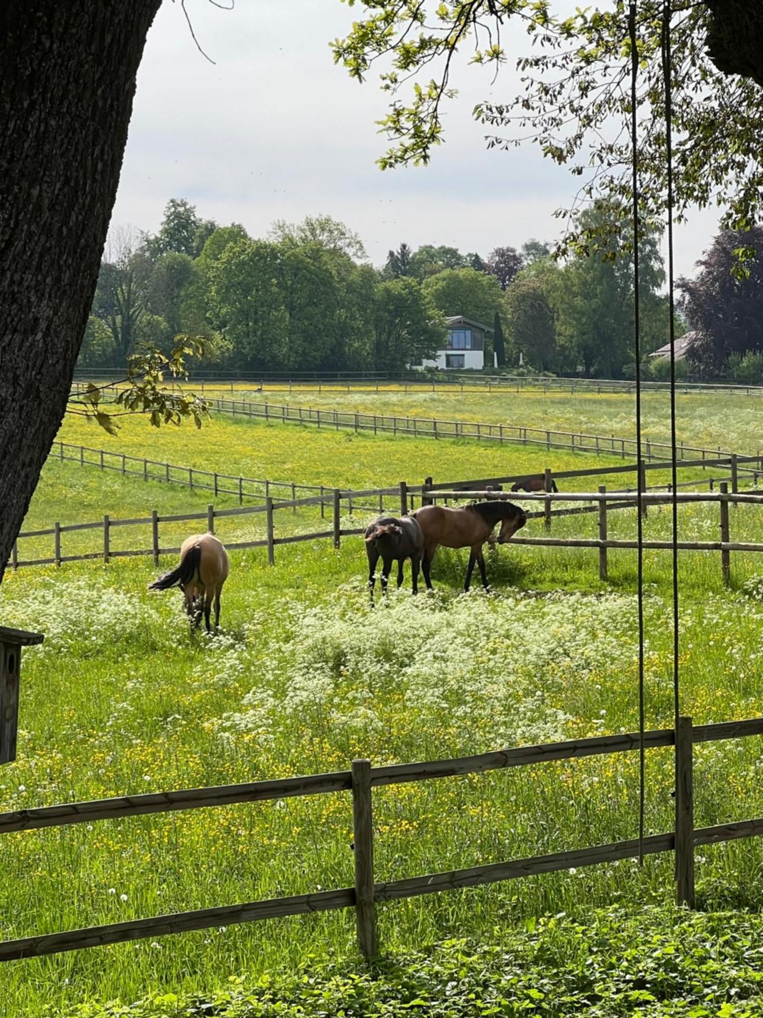 Herrenhaus - Starnberger See - Ammerland 뮌싱 외부 사진