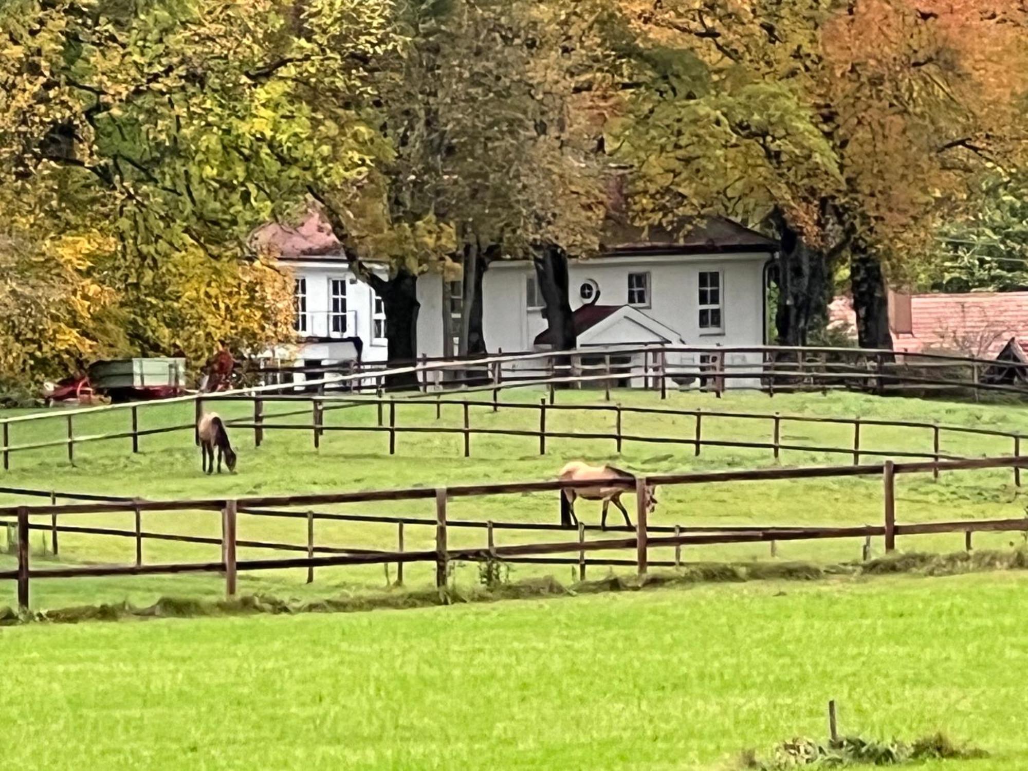 Herrenhaus - Starnberger See - Ammerland 뮌싱 외부 사진